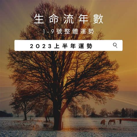 2023生命靈數流年|什麼是流年？生命靈數「2023流年運勢」解析，流年1。